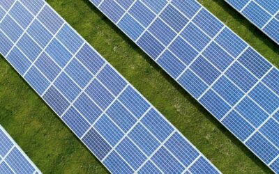 Bau der ersten Freiflächen-Photovoltaikanlage in Salzweg beginnt im August